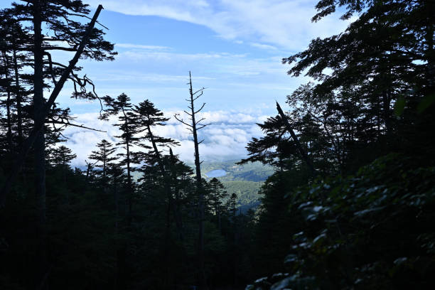 istock Climbing Mt. Tateshina, Nagano, Japan 2193098996