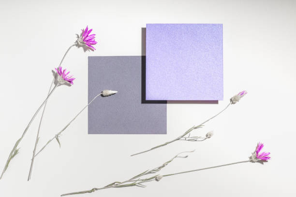 istock Minimalistic card or presentation mockup with botanical decor with copy space, top view. 2193100913