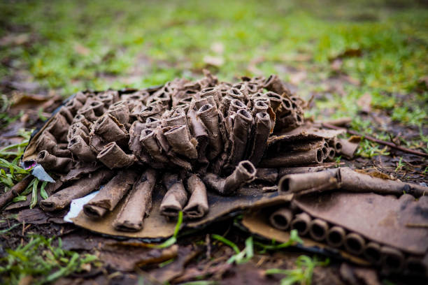 istock Burnt firecracker leftover after new year eve outdoor 2193103458
