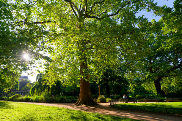Park Monceau in the 8th arrondissement of Paris