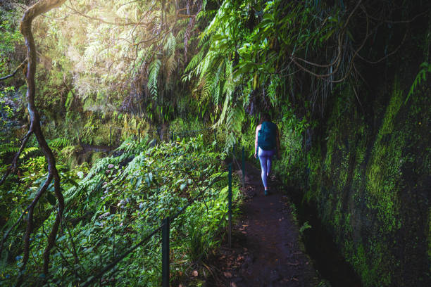 istock Tourist with backpack walks on a jungle path covered with vegetation along a water channel. Levada of Caldeirão Verde, Madeira Island, Portugal, Europe. 2193111694