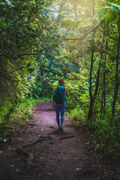 istock Athletic tourist walks on densely overgrown, flowering jungle path along water channel. Levada of Caldeirão Verde, Madeira Island, Portugal, Europe. 2193111809