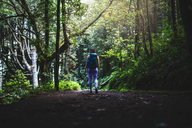 istock A sporty tourist with a backpack is walking through an idyllic and quiet forest. Levada of Caldeirão Verde, Madeira Island, Portugal, Europe. 2193111941