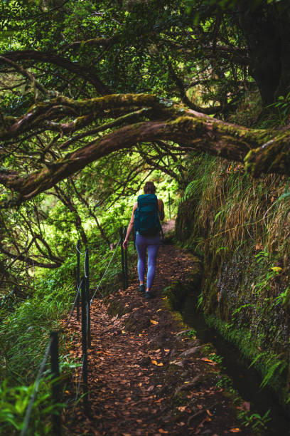 istock Female tourist with backpack walks along adventurous jungle path along water channel. Levada of Caldeirão Verde, Madeira Island, Portugal, Europe. 2193112167
