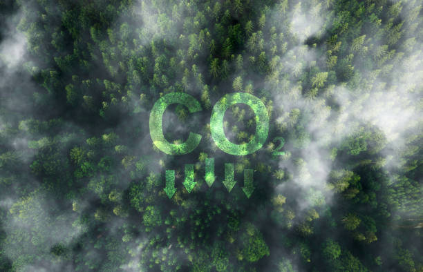 istock Reduce CO2 emission concept.Clean and friendly environment without carbon dioxide emissions. 2193113721