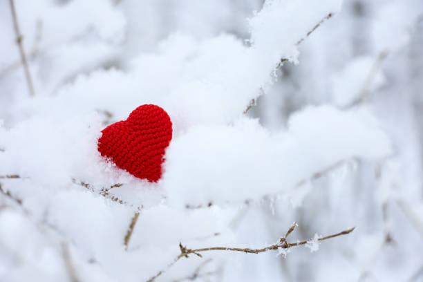 istock Red knitted heart on snow covered tree branch in winter forest 2193114528