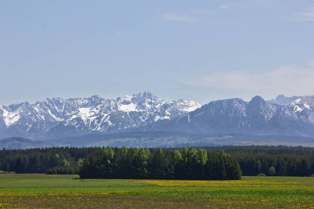 View of the Polish Tatras. Landscape with mountains on the horizon.