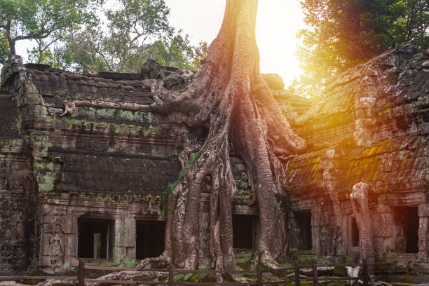 istock Angkor Thom, ancient temple ruins in Cambodia jungle with tree roots 2193119052