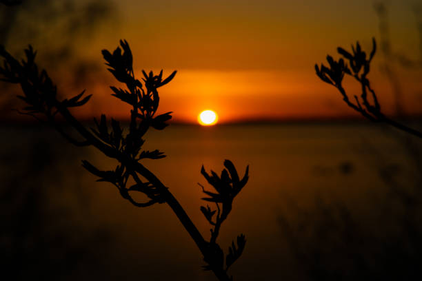 Sunset on the Gulf of Finland