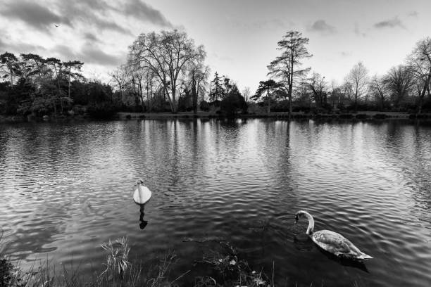 istock Daumesnil lake in Winter season. 2193122646