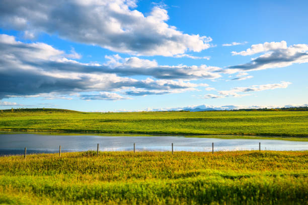 Rustic roadside rural scene of lush grassland with river under blue sky on sunny day at Canada