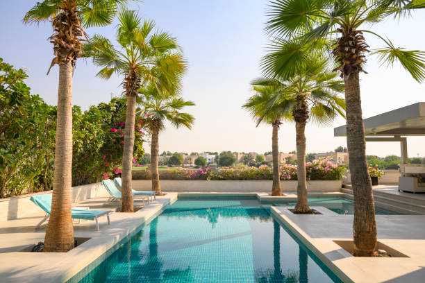 istock Luxurious swimming pool surrounded by palm trees in Dubai 2193131711
