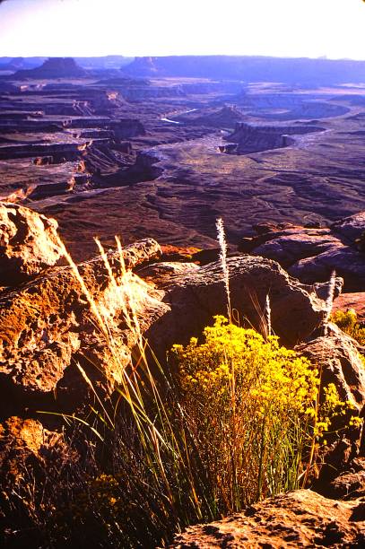 istock Canyonlands National Park seen in September 1984 2193132948