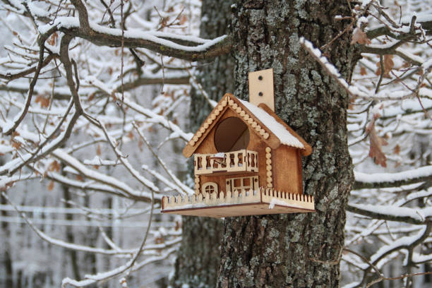 istock Wooden birdhouse in a snowy forest. 2193133395