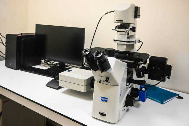 istock In the scientific biological laboratory. 2193134909