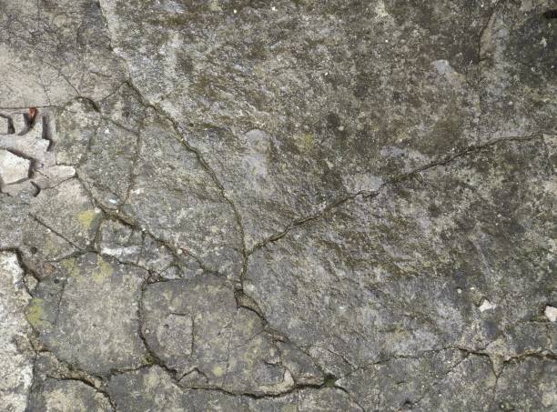 istock Aged Urban Concrete Texture: Intricate Cracks, Weathered Surface, Moss Patches, Time’s Imprint 2193135177