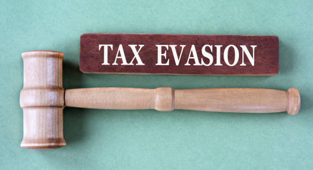 istock TAX EVASION - words on brown block with judge's gavel 2193136078