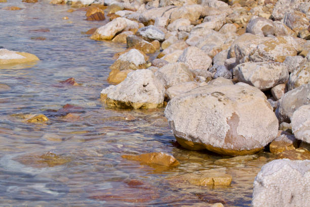 Movenpick Resort and Spa Dead Sea Hotel. Jordan. High quality photo.
