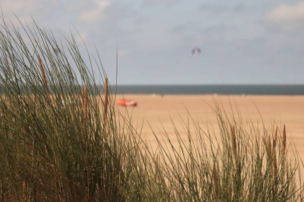 istock The North Sea at Brouwersdam 2193138330