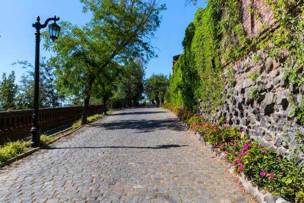 istock Path leading up Cerro Santa Lucia 2193138711