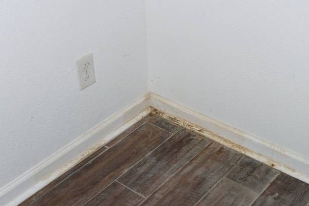 istock Dirty floor with build up and filth 2193147181