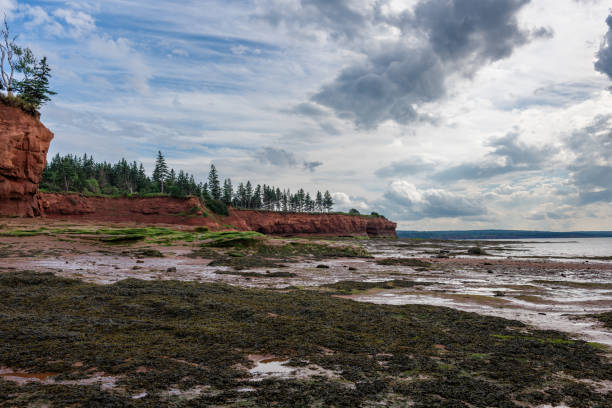 Ocean floor during the low tide in Burntcoat Head Park, Nova Scotia