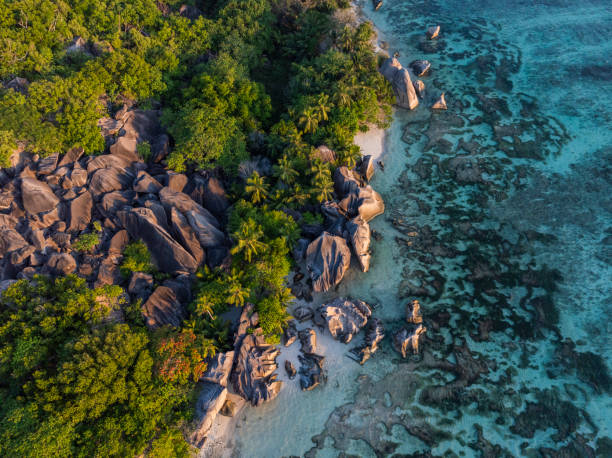 istock Aerial view of archipelago and reef 2193150245