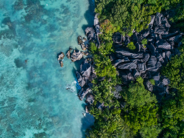 istock Aerial view of archipelago and reef 2193150269