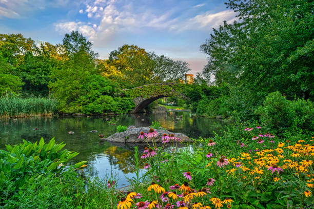 istock Gapstow Bridge in Central Park, summer morning 2193150976