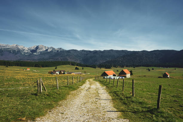View down rural road to farm and village, Dolomites