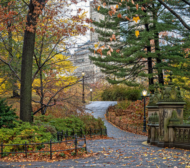 istock Autumn in Central Park, early morning 2193151109
