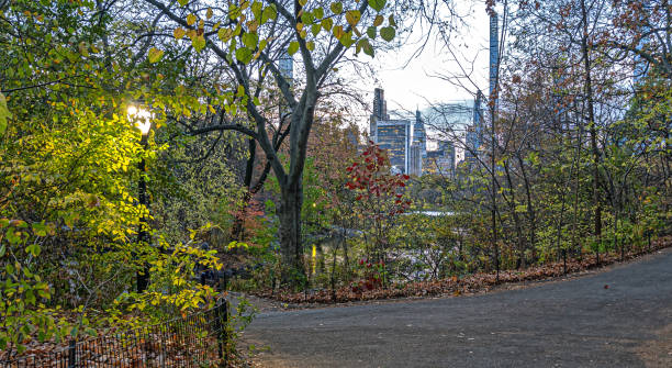 istock Central Park at the lake 2193151164