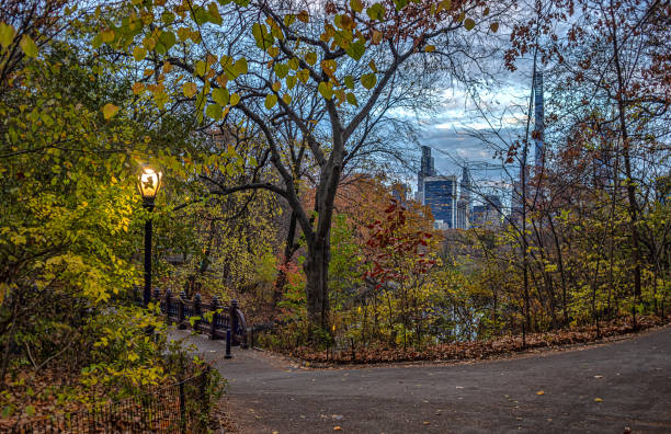 istock Central Park at the lake 2193151331