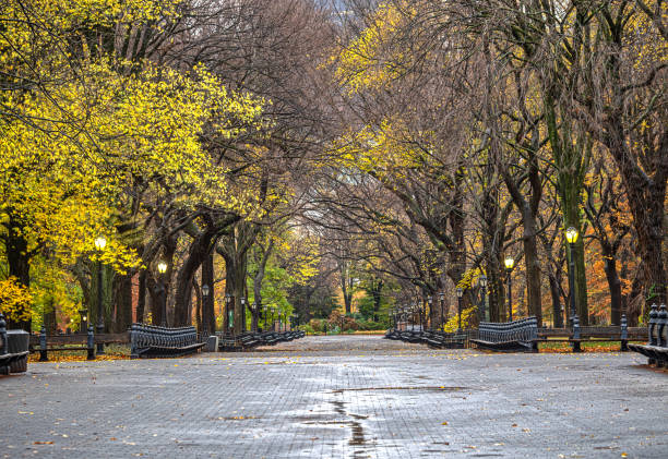 istock The Mall in Central Park, autumn early mrning 2193151476