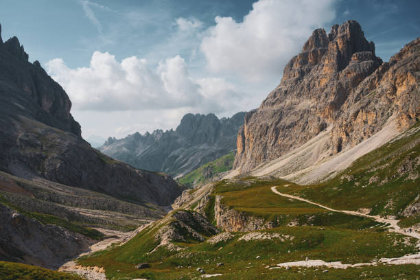 Lush meadow and trail below mountains