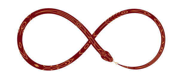 istock snake infinity line. 2025 Chinese Lunar New Year vector illustration isolated on white background 2193153876