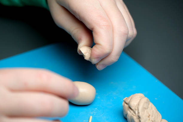 istock Hands molding creative shapes from soft clay in an artistic workspace 2193155132
