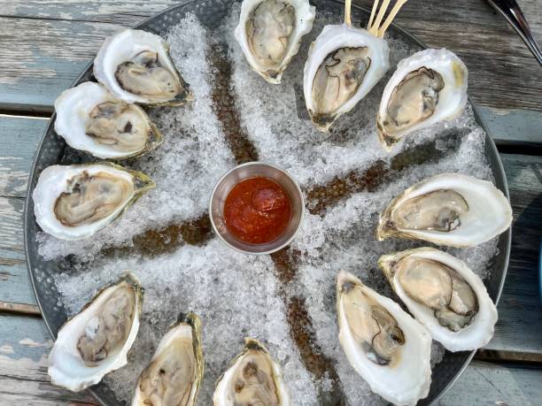 istock Tray of Oysters 2193156255
