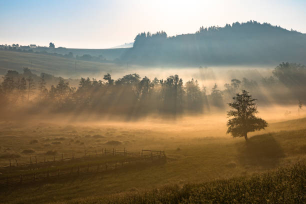 istock Sunlit rural landscape in fine fog. 2193158567