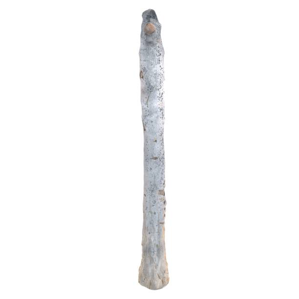 Unique natural driftwood stick isolated on white background for decoration