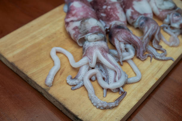 Fresh raw squids  on wooden chopping board, background Seafood squid, ready to be cut and cooked. top view and copy space for your text