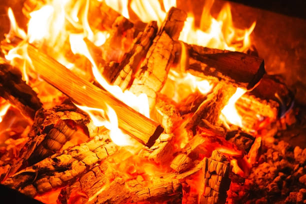 istock fire burning wood in the fireplace, closeup 2193171210