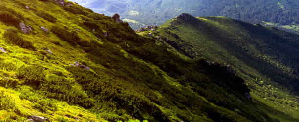 istock Green beautiful mountains in the sunny day. 2193172367