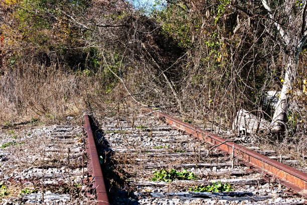 Abandoned rail road tracks in a small town that have been overgrown by trees and weeds.