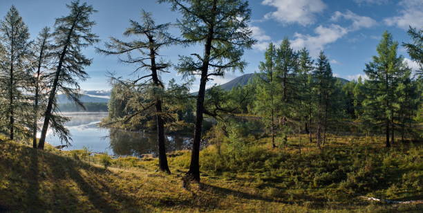 istock The Lost Taiga Lake 2193176726