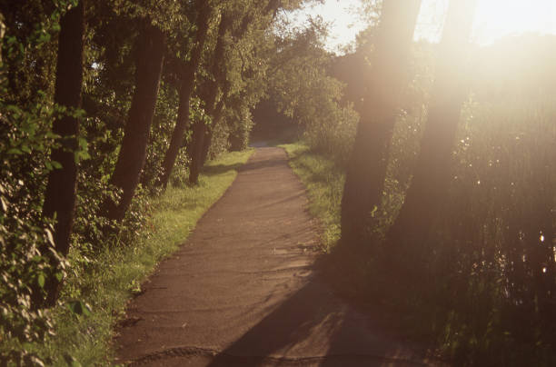 Sunshine saturates a recreational walking trail.