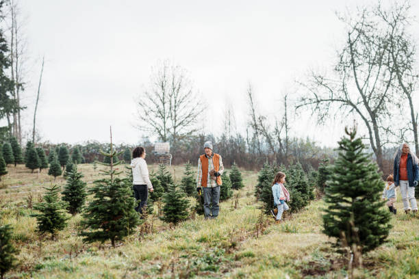 istock Multi-generation family looking for a tree at a you-cut Christmas tree farm 2193180153