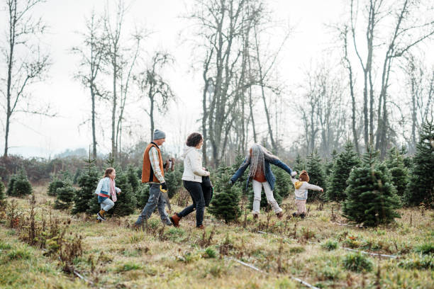 istock Multi-generation family looking for a tree at a you-cut Christmas tree farm 2193180157