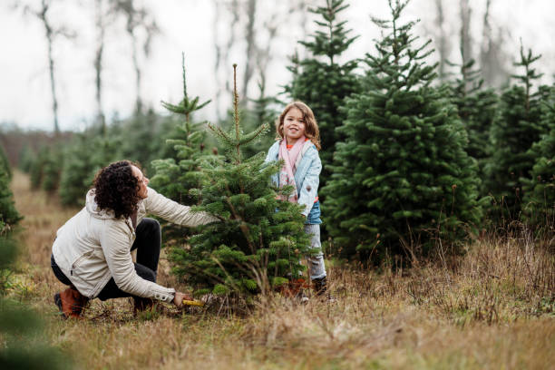 istock Little girl helping her mom cut down a Christmas tree 2193180158
