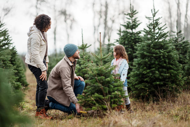 istock Happy family cutting down small Christmas tree at tree farm 2193180160